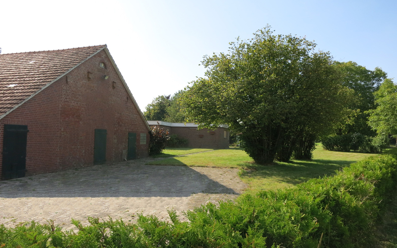 Sicht Innenhof 2 / Garten